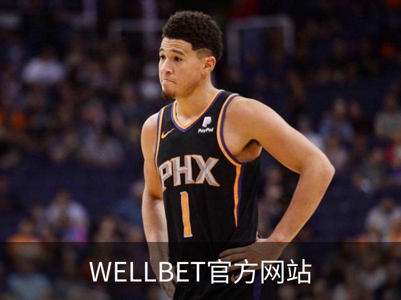 关于WELLBET官方网站